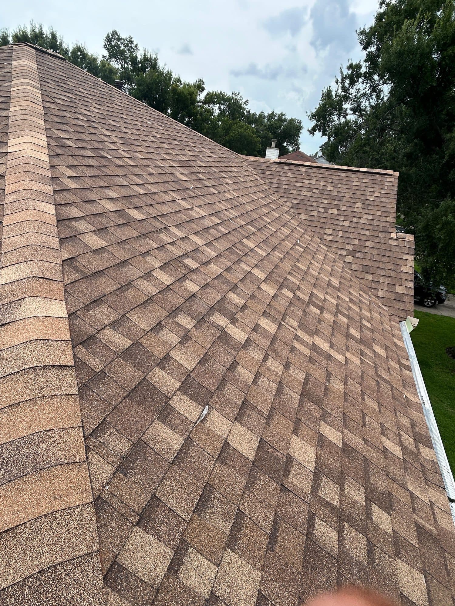 Steep slope of newly laid tan architectural shingles with mature pines behind